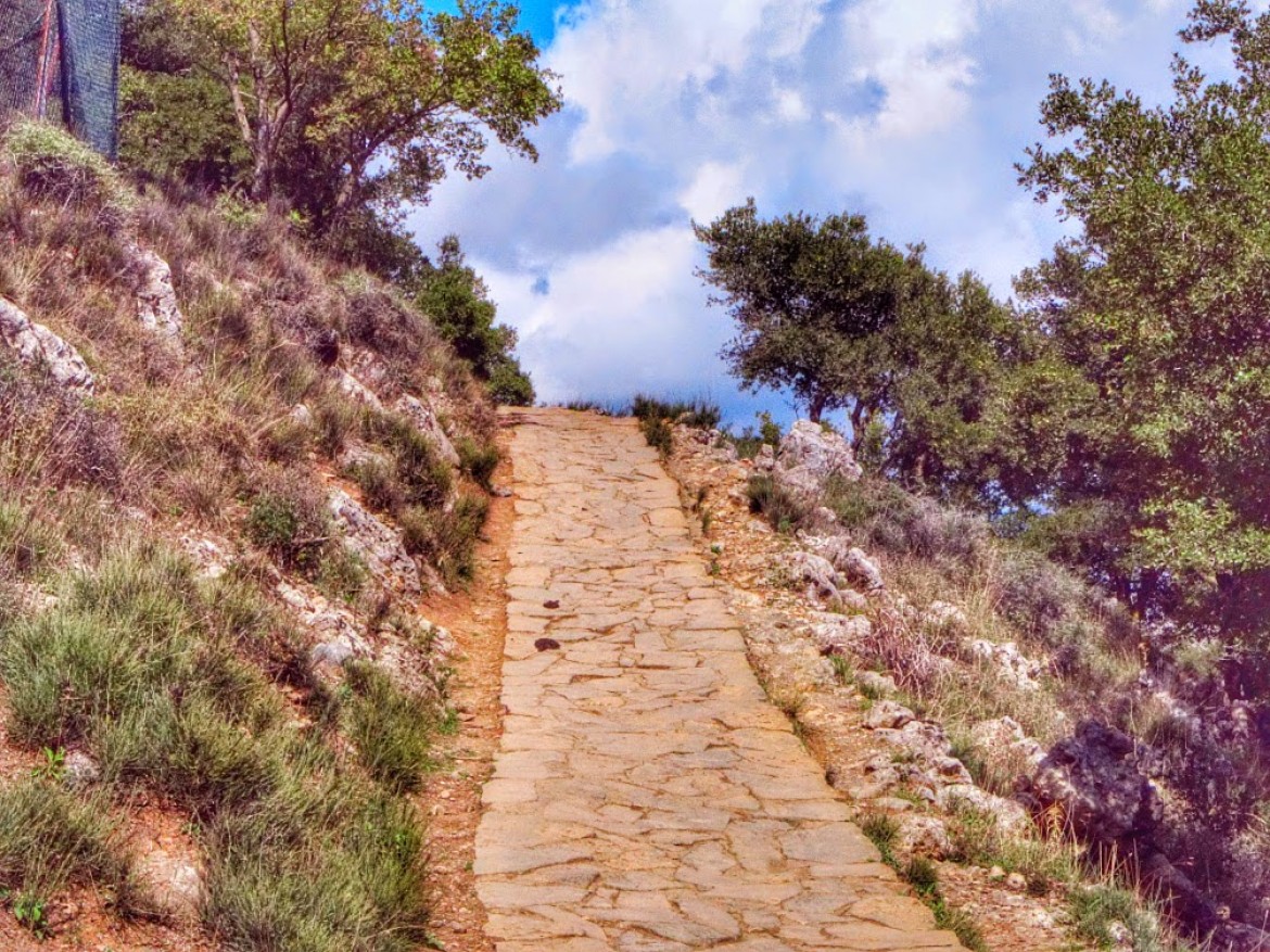 יעוץ ארגוני