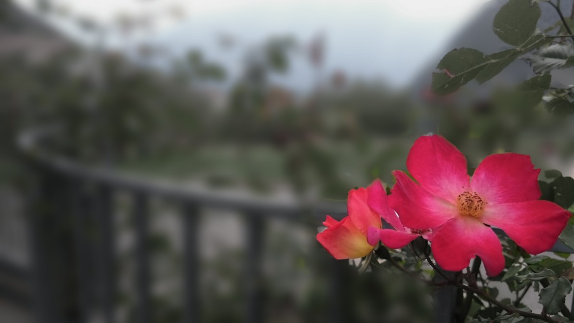 על עונש ונקמה