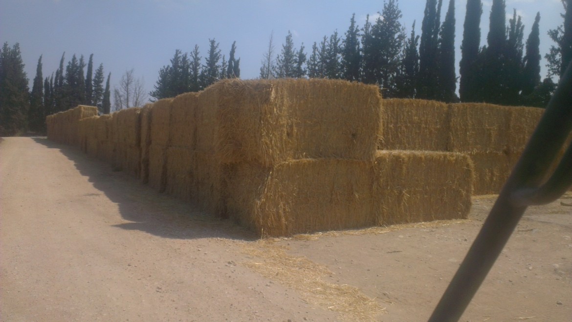 רשומה מגבילה