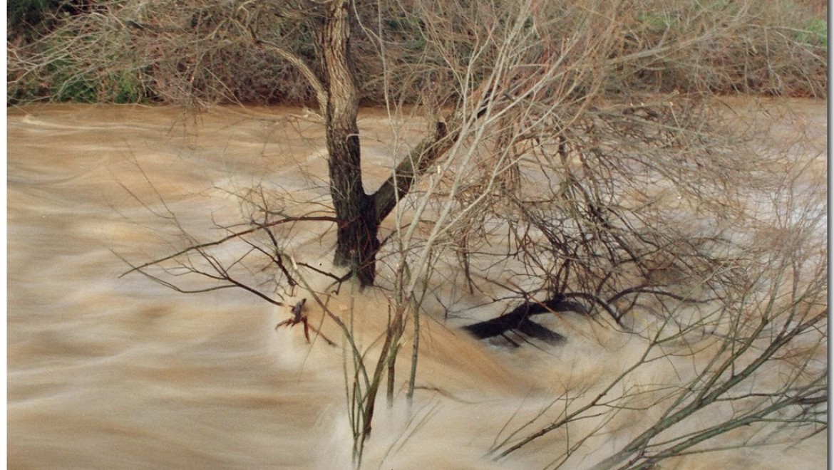 חוסן מנטלי רשומה I – מהי הצלחה