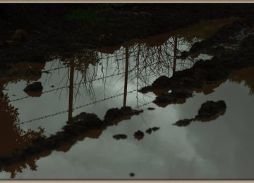 מפגשים – הסיפור של נועה